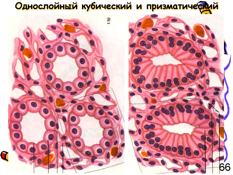 Однослойный кубический и призматический 66